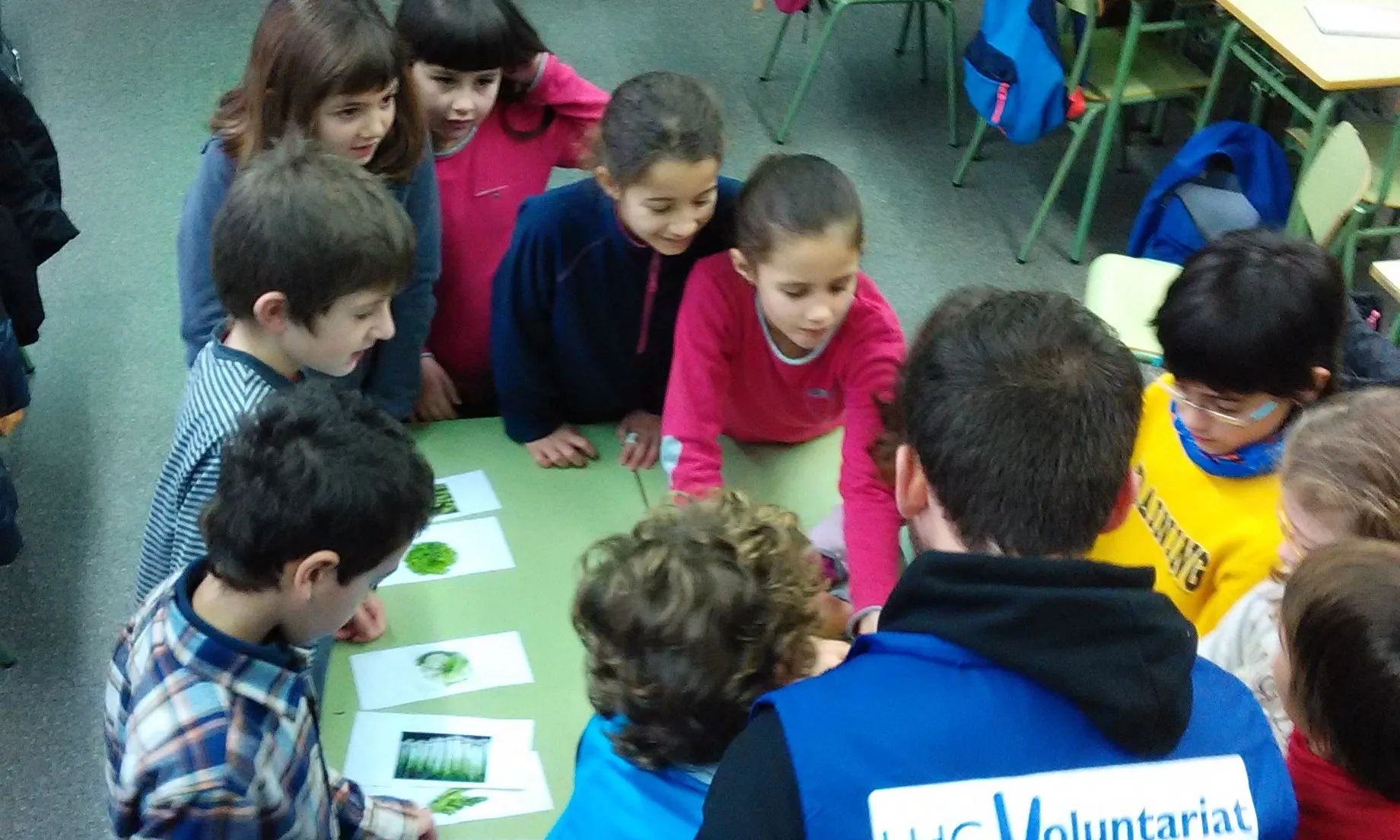 Programa d'apadrinament de l'hort ecològic de l'escola Joan Bruguera de Girona (Font: OCD)