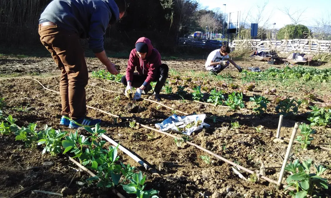 Joves implicats en l'hort ecosolidari de la UdG (Font: UdG)