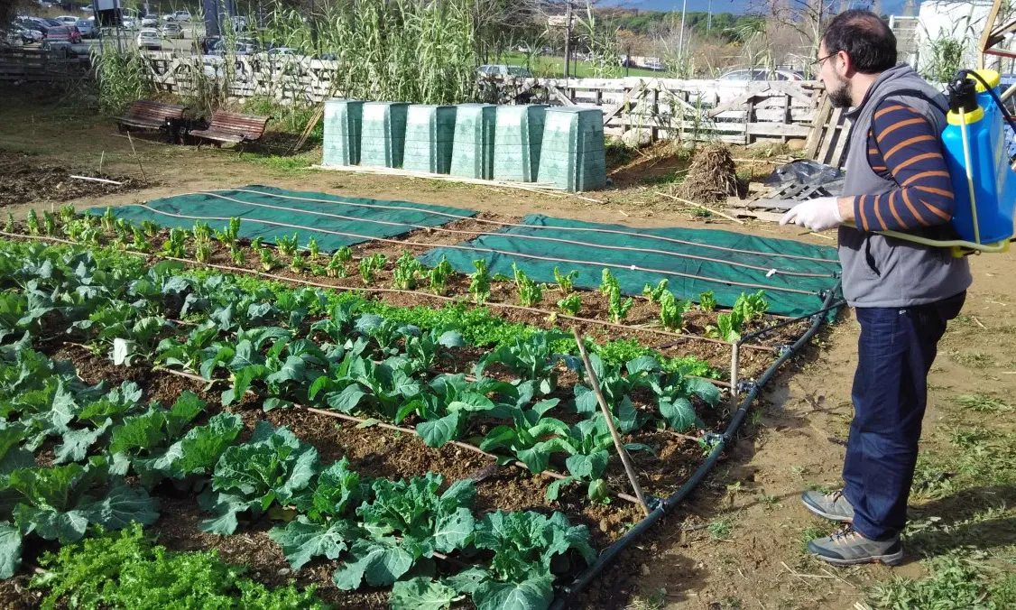 Tasques a l'hort  (Font: Hort)