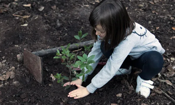 A La Selva del Camp es plantaran alzines amb l'Associació Cen i els voluntaris (imatge: Assoc-Cen.org)
