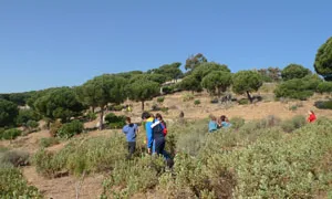 El sector de Tiana, a la Serralada de Marina, on tindrà lloc la plantada amb voluntaris ambientals (Imatge: Diba)