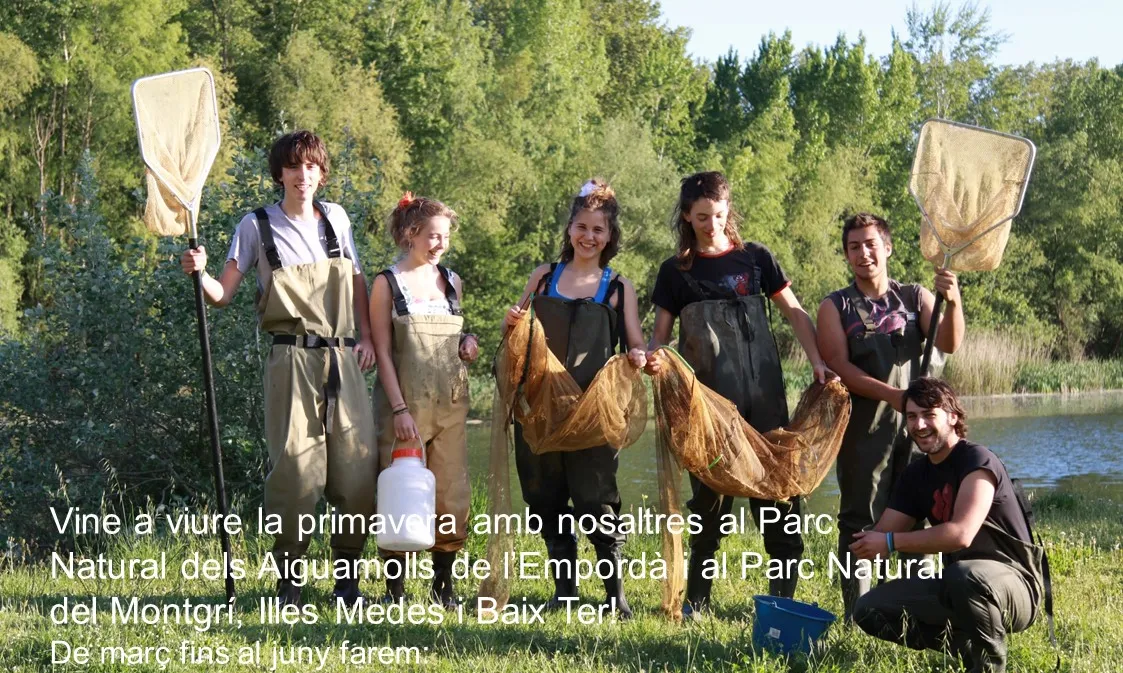 Cartell de la campanya de voluntariat ambiental Remulla't per la Biodiversitat.