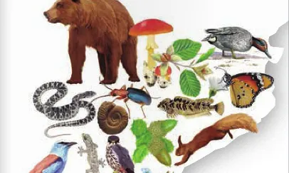 Guia pràctica per conèixer la natura de Catalunya, editada per IPCENA