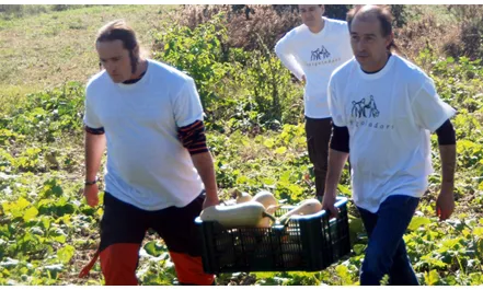 Dos homes recollint aliments del camp. Espigoladors