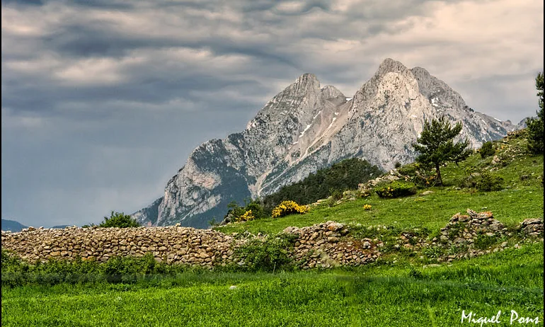 1r. premi Catalunya Wiki Loves Earth