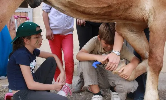 Campaments amb teràpia amb cavalls. Font: Campanya de crowdfunding corAvant