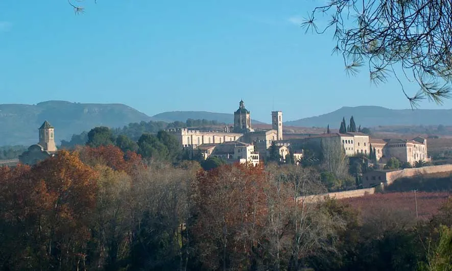L'Arxiu Bibliogràfic de Santes Creus té un gran valor a la comarca.