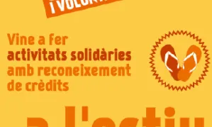 Cartell de les activitats puntuals de voluntariat de la UdG (Font: Oficina de Cooperació de la UdG)