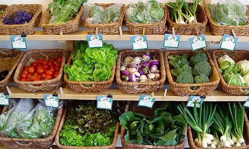 Aliments ecologics 