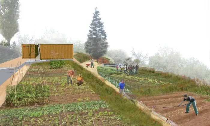 Image il·lustratiu de l'Hort ecològic i comunitari Marianao