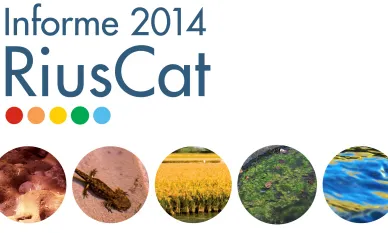 RiusCat 2014
