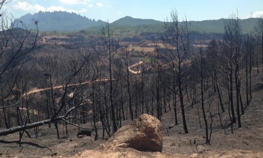 Incendi Anoia-Bages 2015
