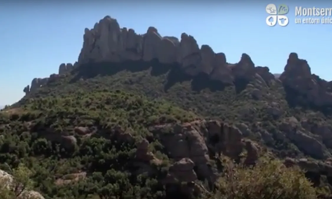 El projecte LIFE Montserrat es localitza a l’àrea de la Muntanya de Montserrat i el seu entorn