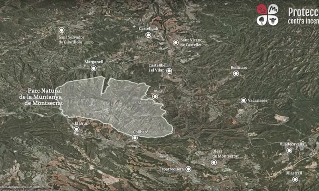 La zona inclosa al projecte, on predomina bàsicament el bosc (64%), ocupa una àrea de poc més de 32.000 ha.