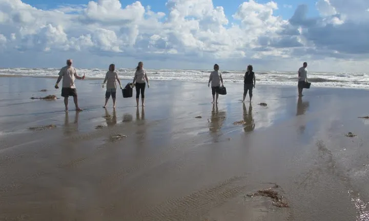 Voluntariat Ambiental amb Graëllsia (imatge: graëllsia.org)