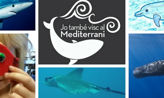 Conèixer els animals del mar per poder incidir en la resolució del probles ambientals (imatge:jotambeviscalmediterrani)