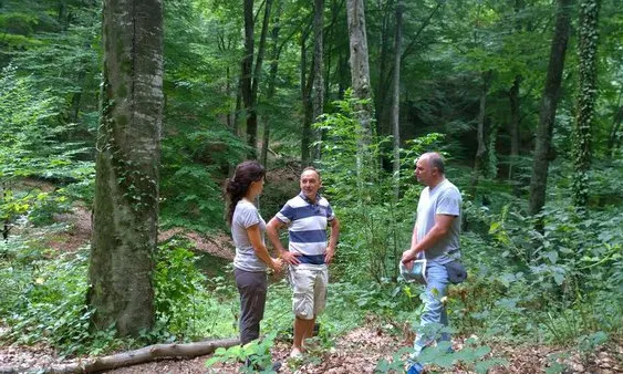 Tècnics de l'entitat AccióNatura concretant els termes de la custòdia Selvans d'una fageda a Guilleries-Savassona (imatge:accionatura)