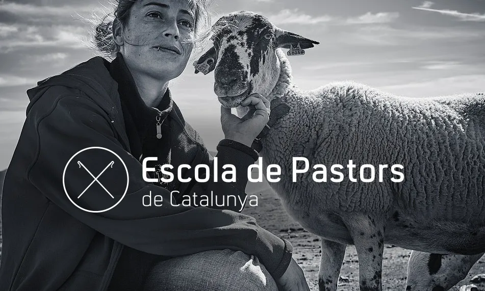 L'Escola de Pastors forma nous pastors des del 2009 (imatge:projectegripia)