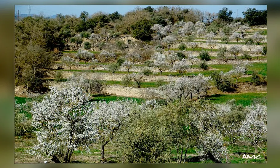 Comarca de les Garrigues. Font: web La Font del Biscarri 