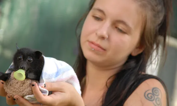 El 15 de desembre s'estrena a Granollers el documental "Humans i Ratpenats" (imatge:humans-and-bats.com) 