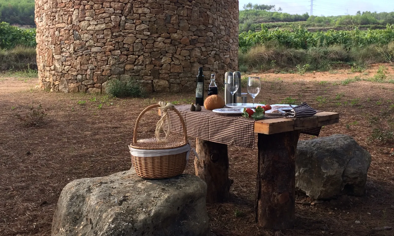 Una innovadora iniciativa d'enoturisme permet allotjar-se en una barraca entre les vinyes (www.claraantunez.com)