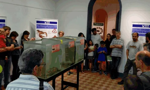 Exposició SOS Cranc, per entedre la problemàtica del cranc de riu (imatge: alt-ter.org) 