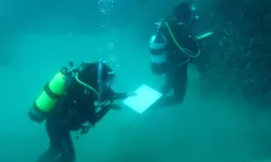 Graëllsia ha impulsat la xarxa de biodiversitat marina Silmar a les terres de l'Ebre (imatge: graellsia.org)