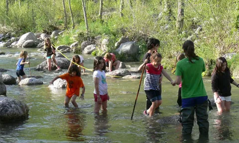 Viu el teu riu, programa d'educació ambiental per apropar als ecosistemes aquàtics (imatge:viuelteuriu)
