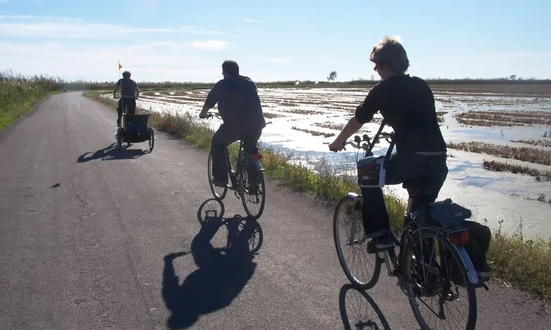 Anar en bicicleta com a forma de tenir cura de la terra (imatge: flickr/diluvi)