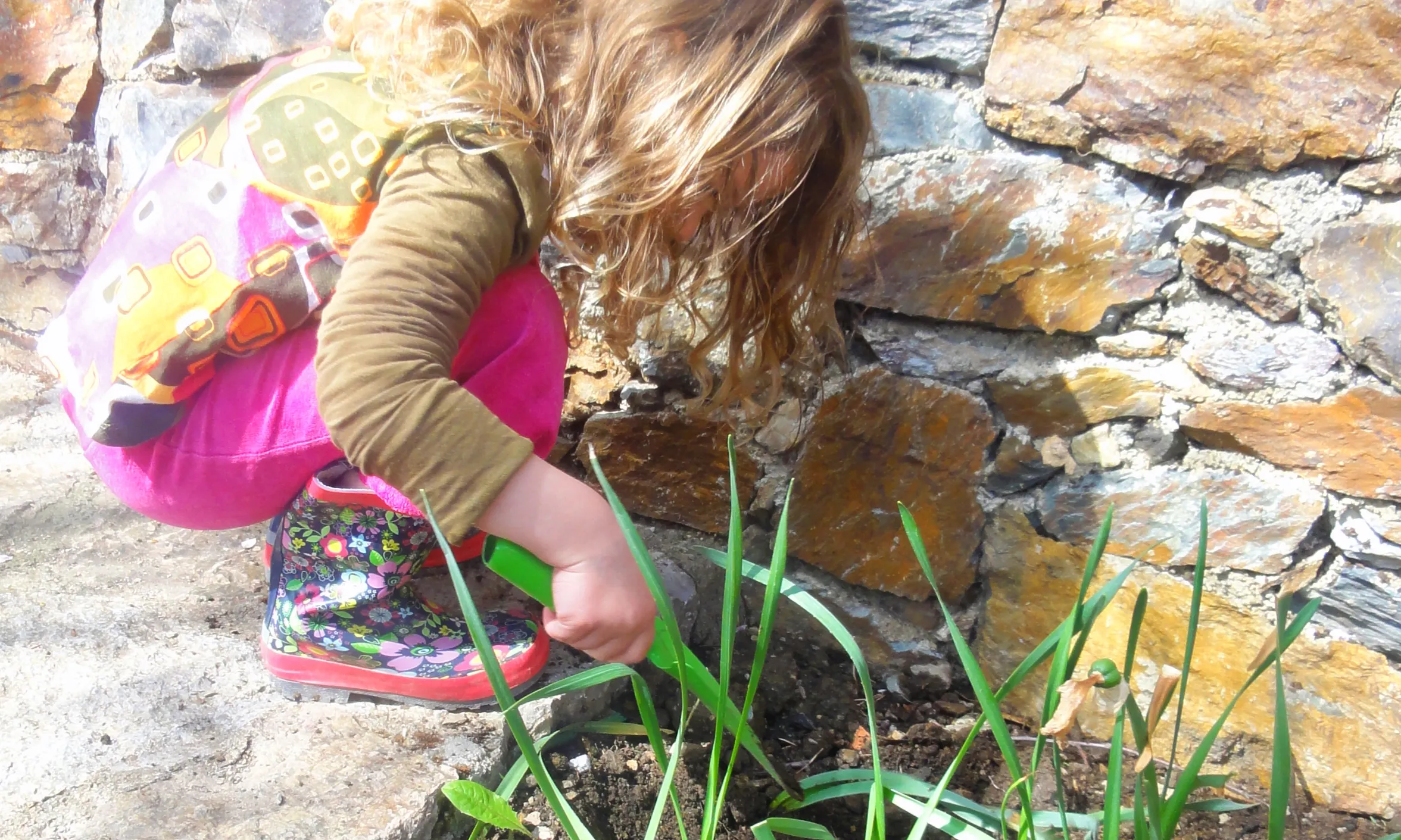 Sembra llavors per fer crèixer plantes al jardí, terrassa o balcó. Absorbeixen CO2 i milloren  la qualitat de l'aire (imatge:flickr/diluvi)