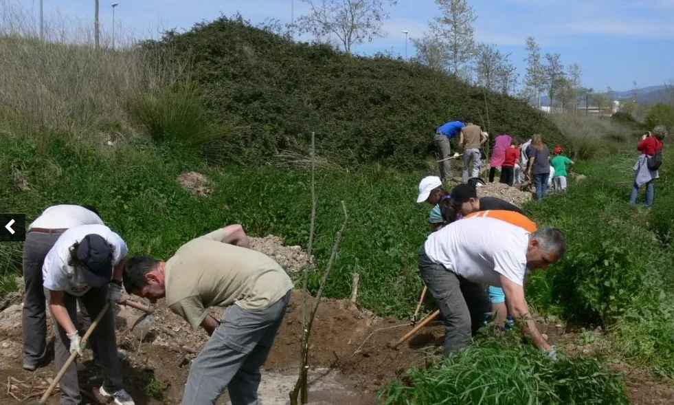 Millora del terreny Carbonell / Foto: Tejiendo redes