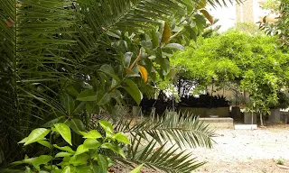 800m2 de zona verda en un barri amb escassetat de zones verdes (imatge:el jardi del silenci)