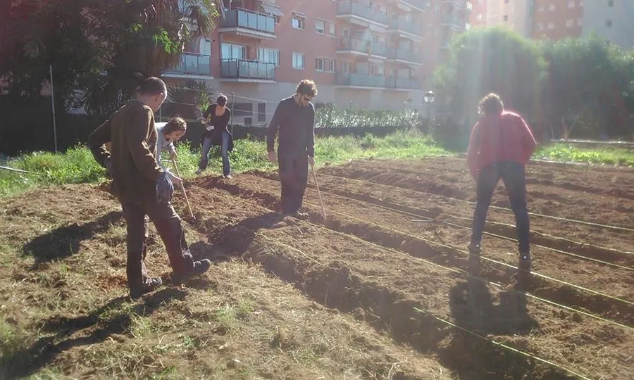 Estudiants de la URV col·laborant en l'adequació del sòl de l'hort