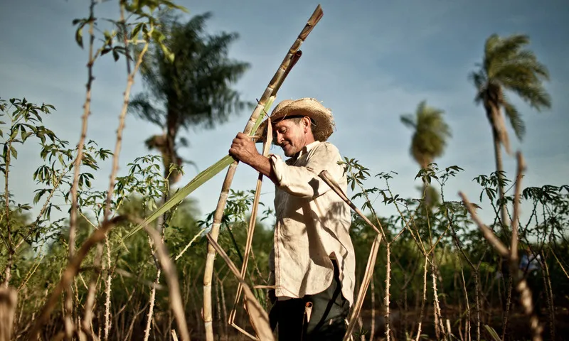 Agricultor treballant la terra. Font: Wikimedia