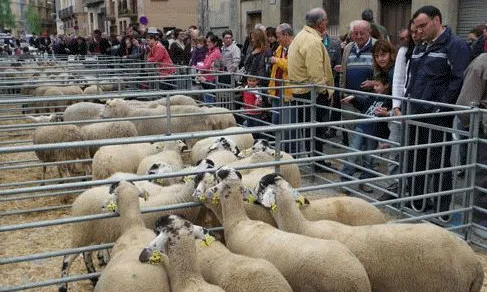 Fira Catalana de l'Ovella.