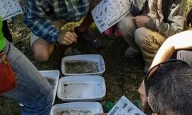 Voluntariat durant una inspecció a la riera de Molins (imatge: Associació Hàbitats)