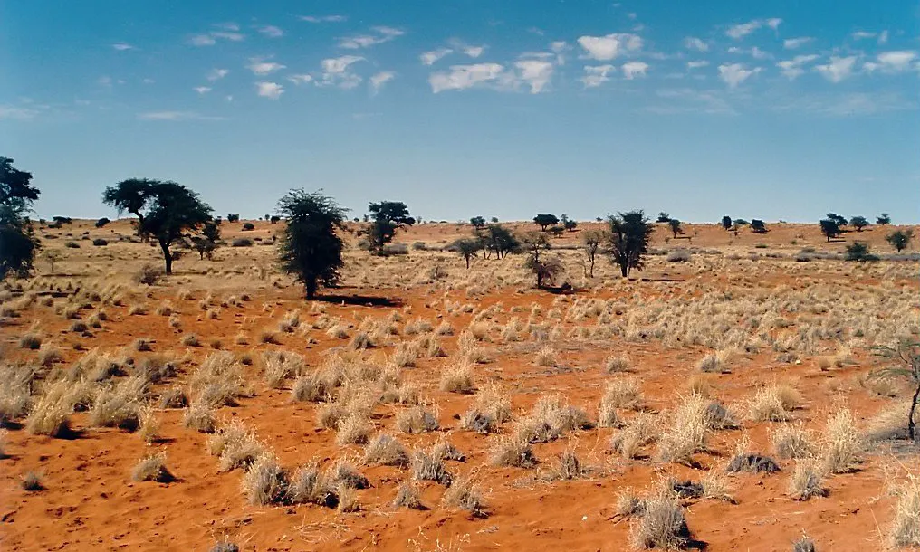 Kalahari Central. Font: Wikimedia