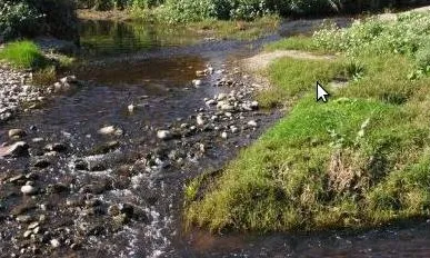 Voluntaris de l'Adenc treballant a les riberes del riu Ripoll (imatge: adenc.cat)