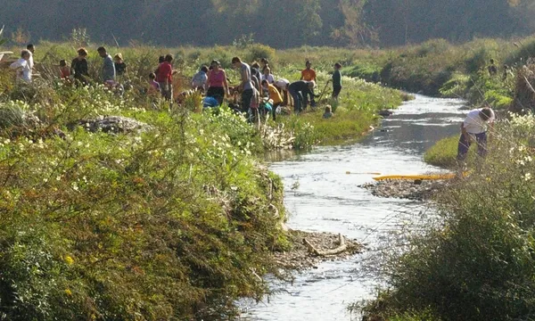 Voluntariat ambiental per la recuperació del riu Ripoll (imatge:adenc.cat)