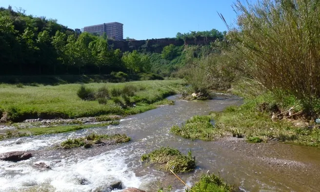 El riu Ripoll (imatge: wikilok, Enric Malvesi) 