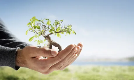 Gest de plantar un arbre. Font: samarag91, Flickr