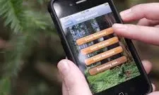 Les app permeten disposar de dades naturalistes des de allà on ens trobem (imatge:inaturalist.org)
