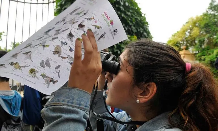 Identificació d'aus (imatge: BioblitzBcn)