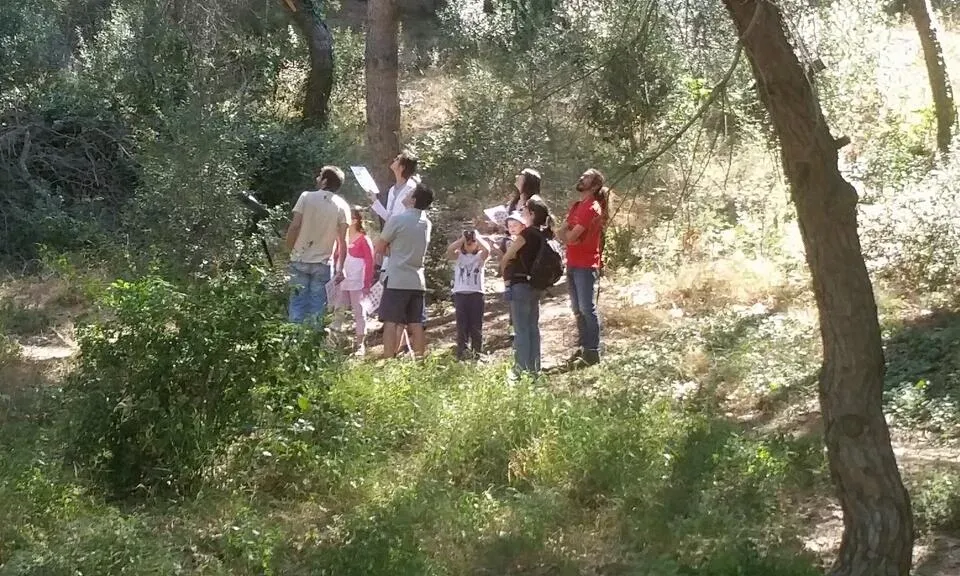 Un grup a la descoberta de espècies (imatge: BioblitzBcn)