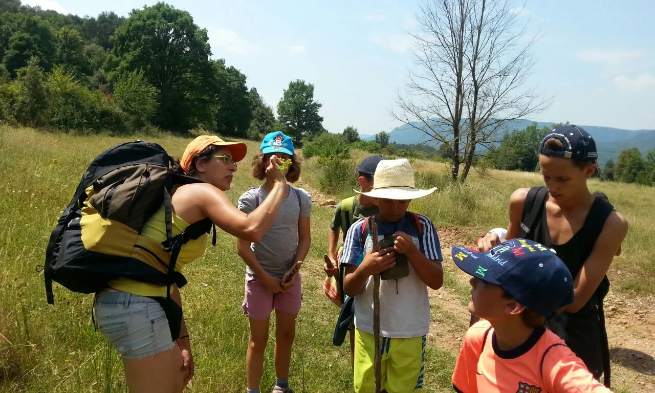 L'Associació Etnobotànica Rusticana  de Susqueda recupera els coneixement en plantes remeieres i organitzen camps de treball centrats en l'etnootanica (blocs.xarxanet.org/lesremeieres)/ 