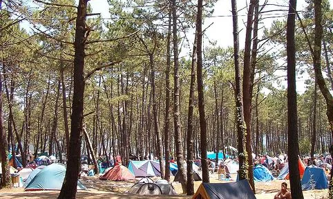 Campaments.