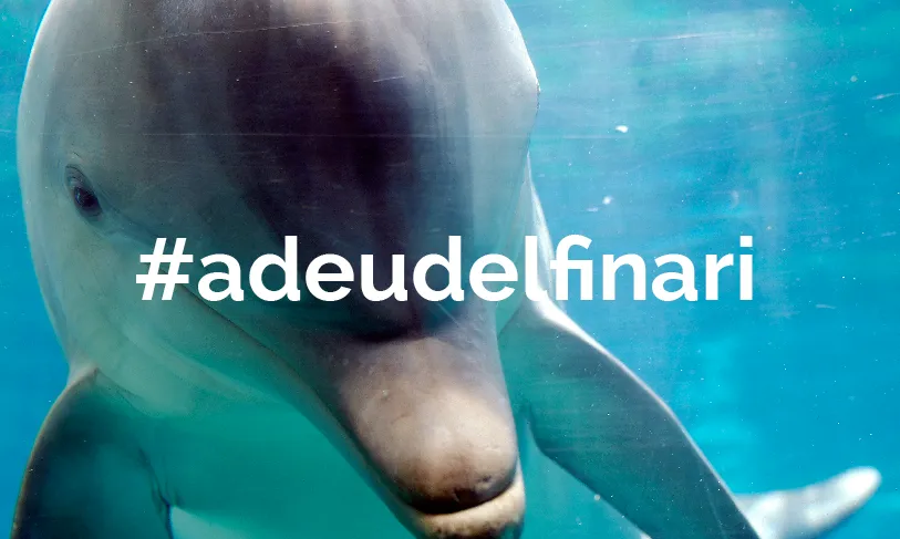 Faada llança una campanya de recollida de signatures pel tancament del delfinari de Barcelona (imatge: adeudelfinari.org)