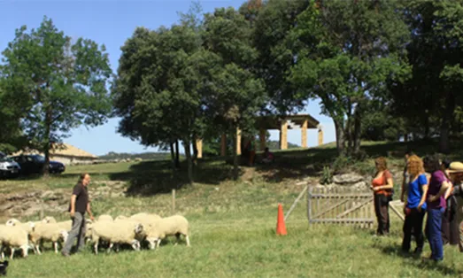 De vacances amb les entitats ambientals (imatge: arrelia.cat)