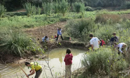 Des del 2009 el projecte Fes reviure el Ripoll implica la ciutadania en la restauració del riu (imatge: adenc.cat)