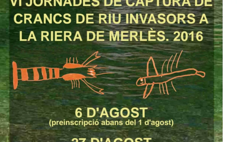 Enguany les jornades estan previstes pel 6 i el 27 d'agost (imatge: adeffa) 